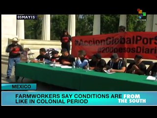 Mexico: Farm Workers Call for End to Colonial Working Conditions