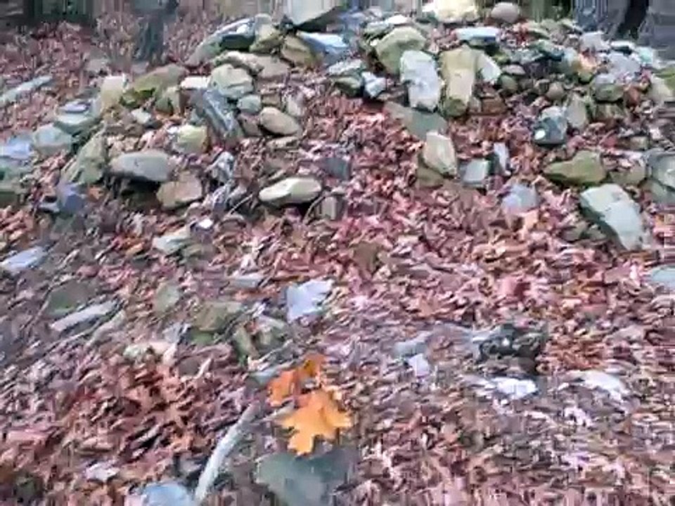 Old Grave sites near Trail of Tears