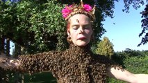 Bee Dancer : Bee Queen