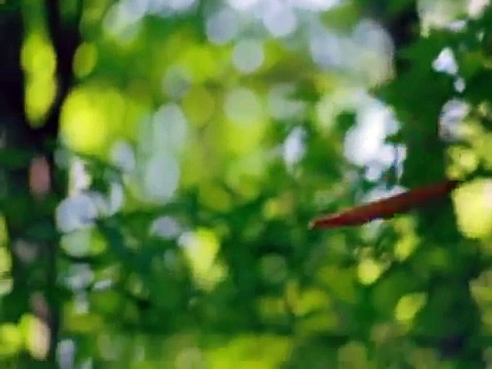 Joseph Smith profeta mórmon (1)
