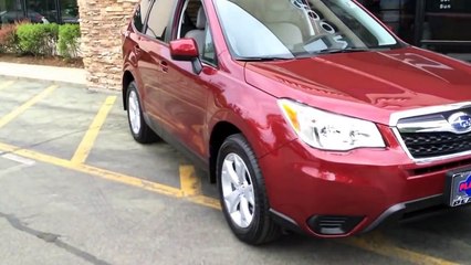 NEW Subaru Forester vs NEW Subaru Outback