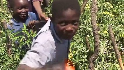 "A Village in Africa" - Blog Introduction