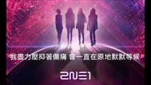 [Chinese Cover中文翻唱 ] 2ne1-Come Back Home(unplugged ver.)