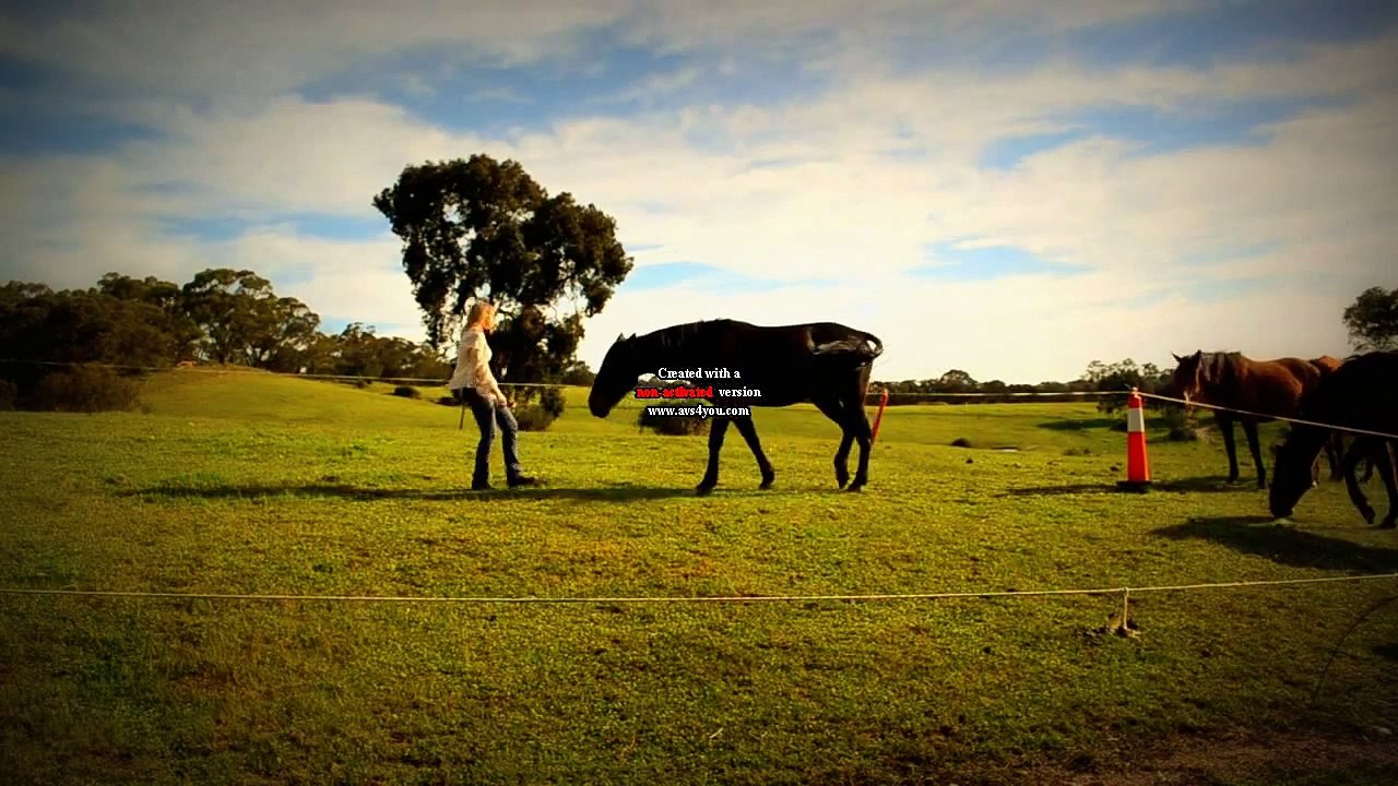 Intuitive Communication Session 3 - Come With Me