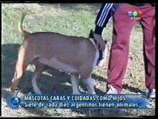 NOTA TELEFE NOTICIAS 03/07/2006