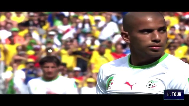 Diables Rouges, résumé de l'équipe nationale belge à la coupe du monde du Brésil 2014