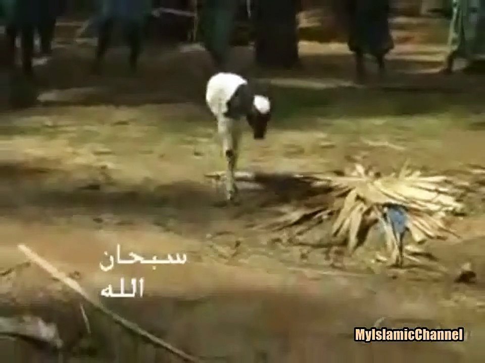 SubhanAllah