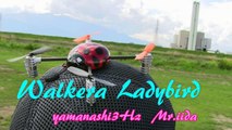 Walkera Ladybird    yamanashi3Hz
