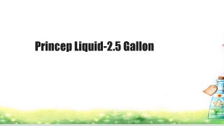 Princep Liquid-2.5 Gallon