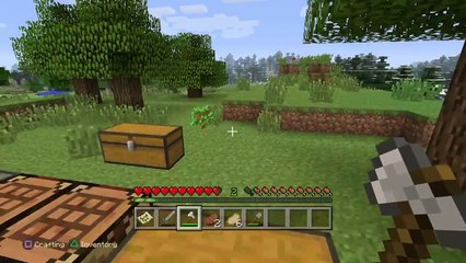 Minecraft: PlayStation®4 Fun