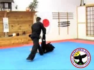 Ninjitsu Training