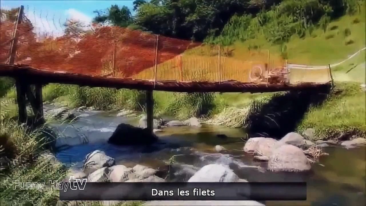 Fail compilation 2015 #2