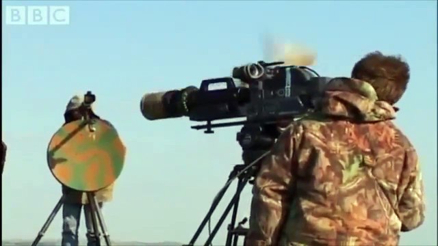 Полёт глазами птиц. Ястреб vs Ворона. Беркут vs Волк