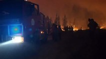Portekiz'de orman yangınları sürüyor