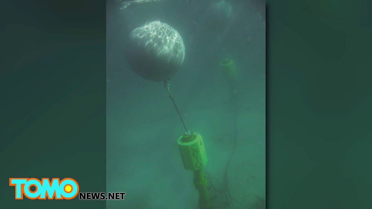 Renewable energy - sea waves into zero-emission electricity
