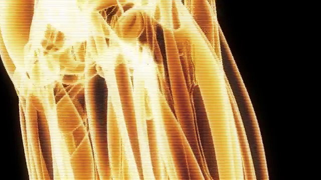 Severe Acute Respiratory Infections Network in the Americas - SARInet