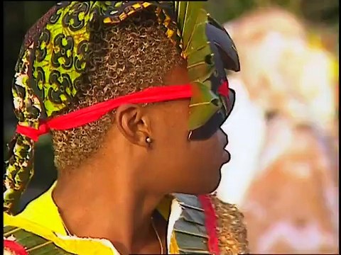 Guadeloupe, papillon créole