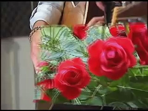 Georges Hamel_UNE FLEUR DANS LA NUIT