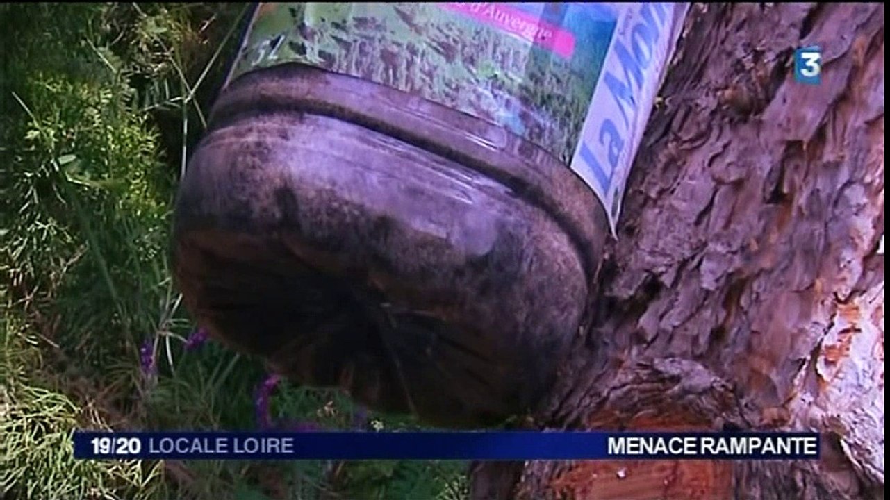 France 3 Loire - 5 mai 2015