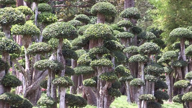 Malaisie, l'Asie en réserve