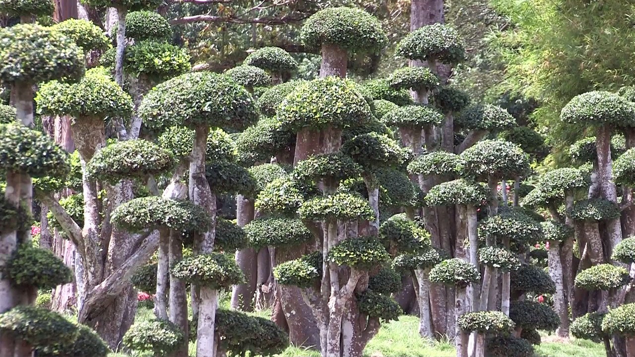 Malaisie, l'Asie en réserve