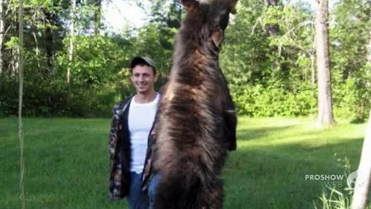 Canadian Bear Hunting Packages | Black Bear Hunting