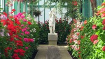 Les Serres royales de Laeken ouvertes au public