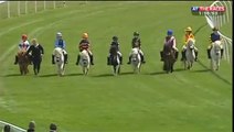 Course de poneys shetland en Angleterre