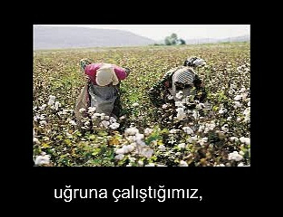 YAŞAM ÖZGÜRLÜKTÜR BAĞIMLILIK DEĞİL!