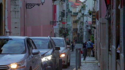 Panda Bear - Come To Your Senses (Official Video)