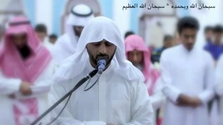 Cure for hearts - Stunning Quran recitation - (3)