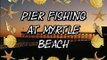 Pier Fishing At Myrtle Beach, Catching Sharks