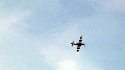 Whistle Sound " P-51 Mustang vs Spitfire "