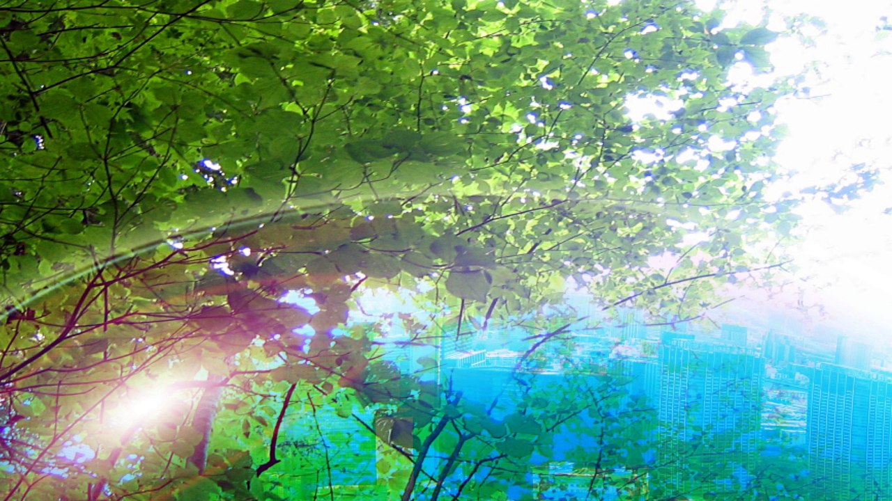 「ひまわり～動物の未来のために～」　宮原彩