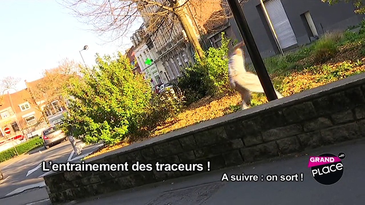 Parkour 59 : l'entrainement des traceurs