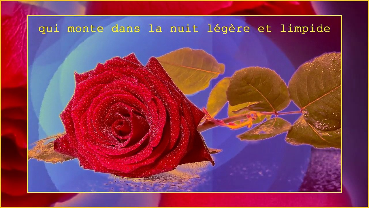 Toi ma rosée du matin,mon averse argentée -Poésie