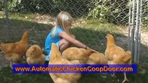 How To Install an Automatic Chicken Coop Door