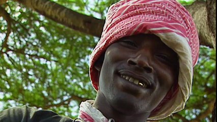 Sénégal, la piste aux découvertes