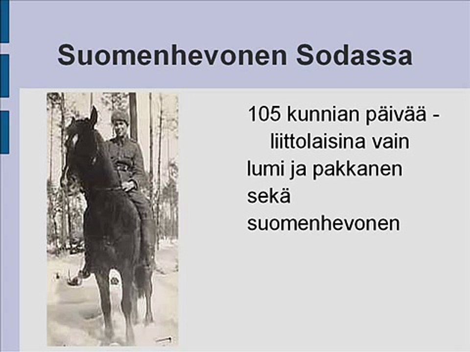 Suomenhevonen sodassa