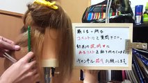パリ式ドライカット講習会2 hairstyles haircut method