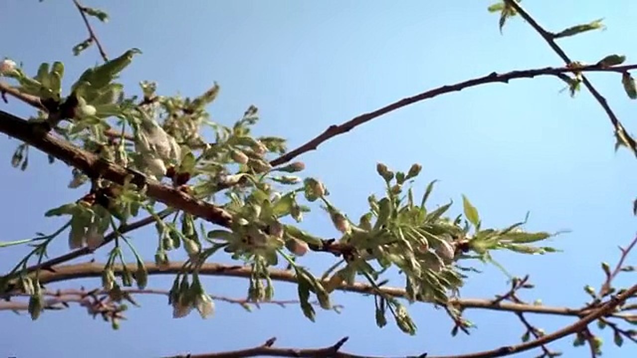 Asma Allah - Beautiful names of Allah - Sami Yusuf - HD - YouTube