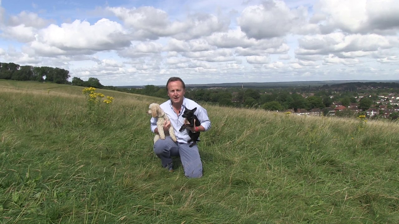 The Pet Detectives. Colin Butcher is the lead investigator for the The Pet Detectives Ltd the only Private Detective Agency in the United Kingdom that specialises in recovering stolen and missing pets and animals