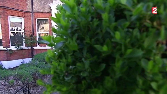 Ces Français expatriés à Londres