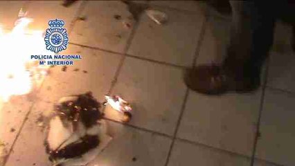 Desmantelado el "clan de las niñas"