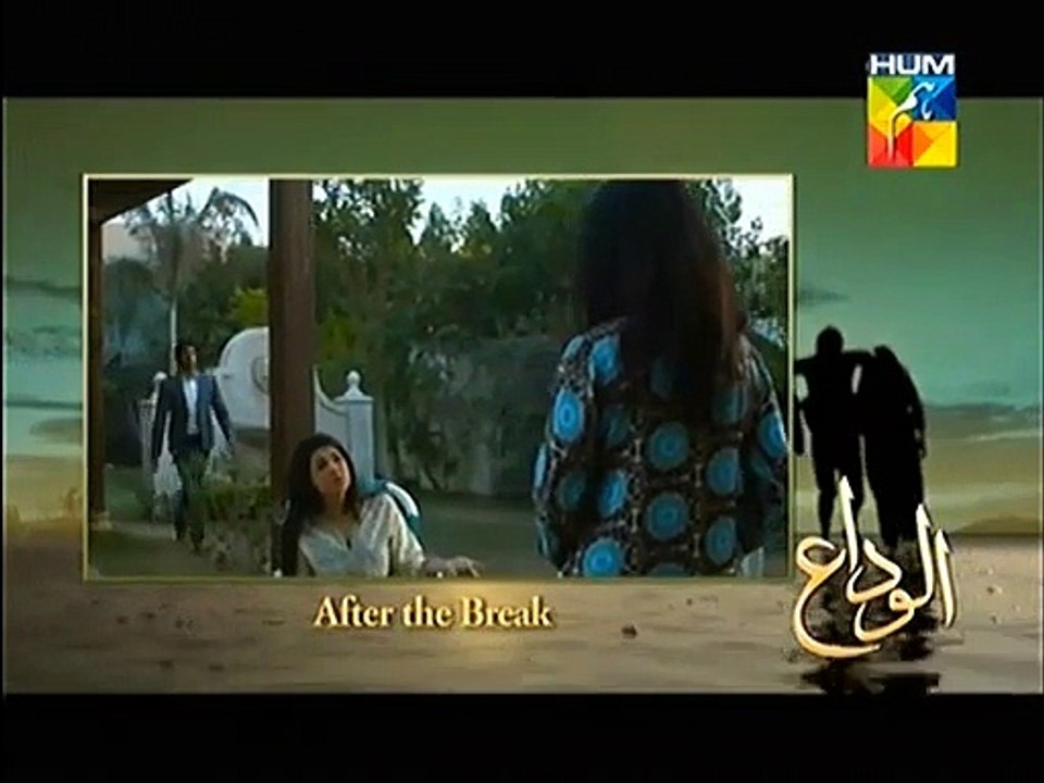 Alvida Full Episode 13 on Humtv 6 May 2015