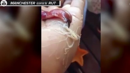 This Terrifying Worm Just Wants A Taste