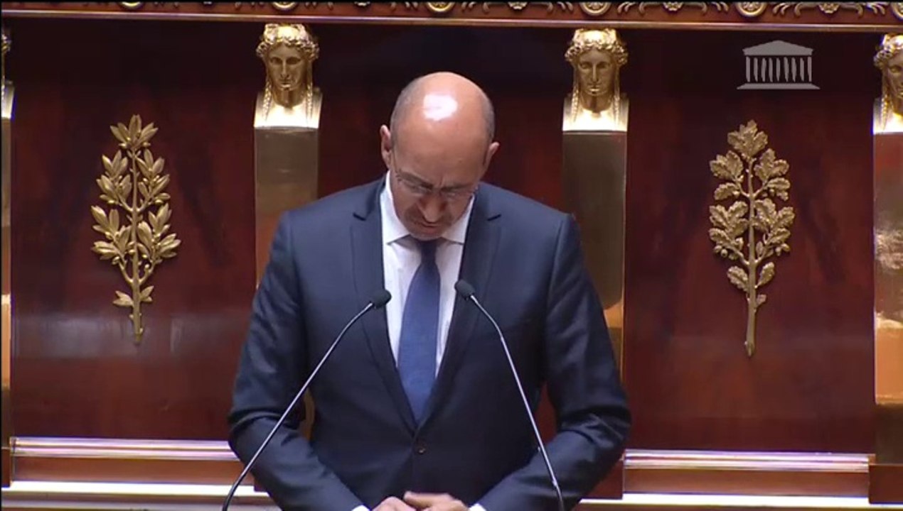 Discours d'H. Désir à l'Assemblée pour le débat sur le Projet économique et social européen de la France