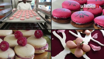 « Battle » de macarons pour les lycéens d'Eragny