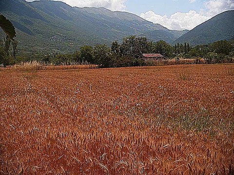 Signore Se Vu Mete - Musica Popolare d'Estate in Abruzzo