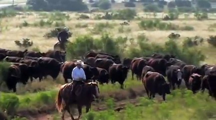 I Am Angus -- Boots O'Neal, 6666 Ranch, Guthrie, Texas
